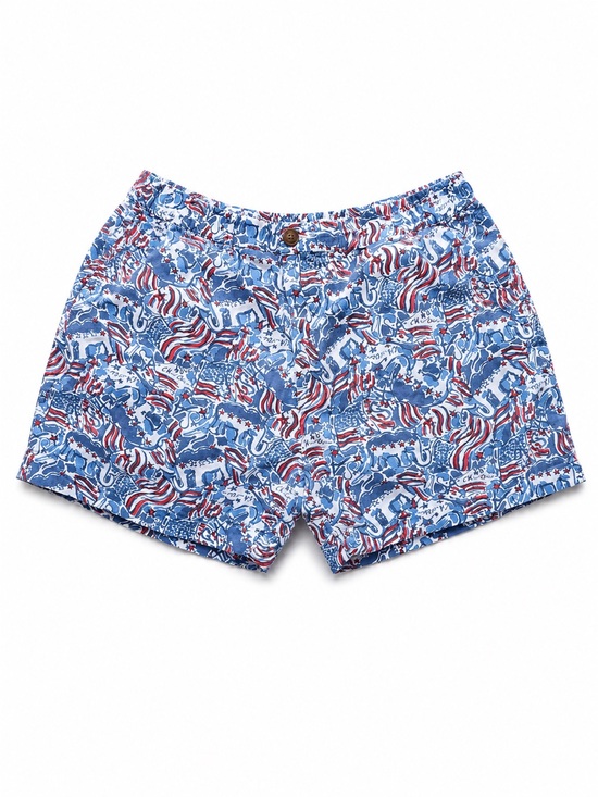 chubbies Other - Chubbies Men’s Shorts Large USA America Red White Blue Patriotic